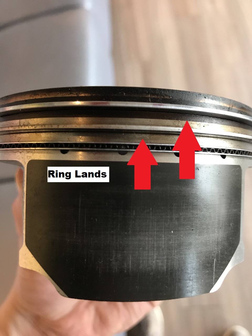 Ring Lands labeled