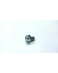 Flange Bolt - 010406100