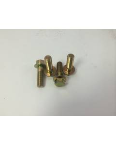 TiC Non-AVCS Cam Bolt