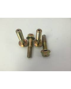 TiC AVCS Cam Bolt