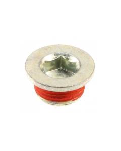 Subaru OEM Cylinder Head Plug (EJ20/EJ25)