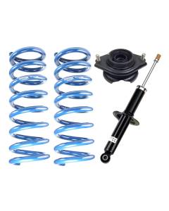 RalliTEK 3/8" Rear Overload Springs & OEM Struts (10-14 Outback)