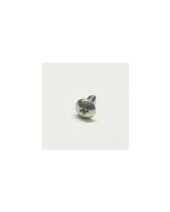 Subaru OEM Body Molding Screw - 904500019