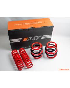 AST Lowering Springs (16-18 Ford Focus)