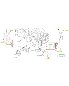 Subaru OEM Water Pump Hose Kit (15-21 WRX)