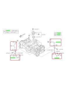 Subaru OEM Oil Cooler Hose Kit (15-19 WRX)