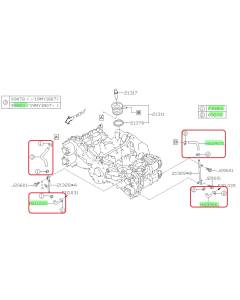 Subaru OEM Oil Cooler Hose Kit (19-21 WRX)