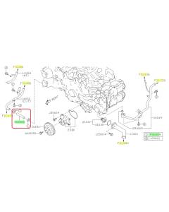Subaru OEM Water Pump Hose Kit (22+ WRX)