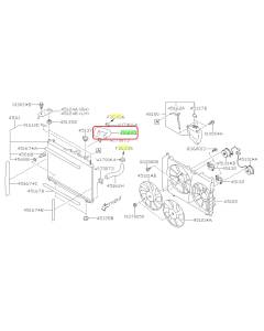 Subaru OEM Radiator Hose - Inlet (19+ Ascent)