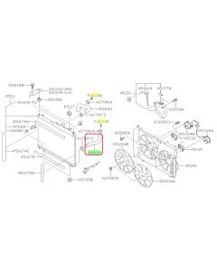 Subaru OEM Radiator Hose - Outlet (19+ Ascent)