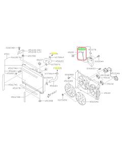 Subaru OEM Coolant Overflow Hose (19+ Ascent)