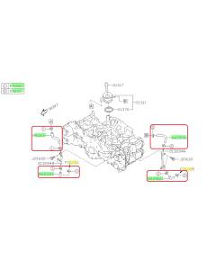 Subaru OEM Oil Cooler Hose Kit (19+ Ascent)