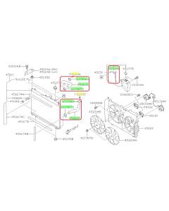 Subaru OEM Radiator Hose Kit (19+ Ascent)