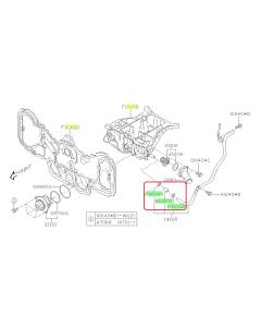 Subaru OEM Complete Coolant Hose Kit (05-09 Legacy - 30D)