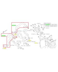 Subaru OEM CVT Cooler Hose Kit (15-19 Legacy - 25B)