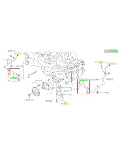 Subaru OEM Complete Coolant Hose Kit (15-19 Legacy - 25B)