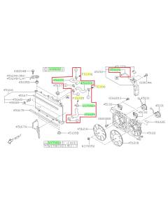 Subaru OEM Radiator Hose Kit (15-19 Legacy - 36D)