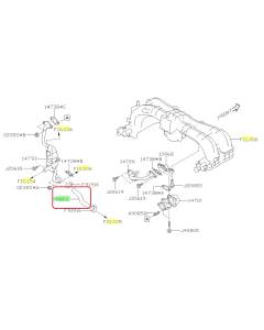 Subaru OEM Coolant Hose - 99083AA35A (20-25 Legacy - 25D)