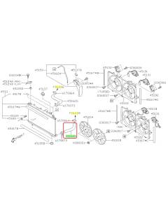 Subaru OEM Radiator Hose - Outlet (20-25 Legacy - 25D)