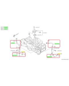 Subaru OEM Oil Cooler Hose Kit (20-25 Legacy - 24F)