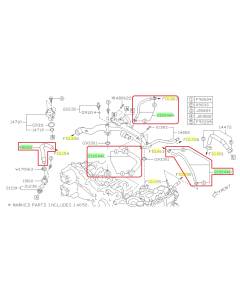 Subaru OEM Coolant Crossover Hose Kit (15-17 Crosstrek)