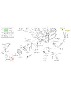 Subaru OEM Complete Coolant Hose Kit (24+ Crosstrek - 25D)