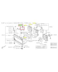 Subaru OEM Radiator Hose - Inlet (09-11 Forester)
