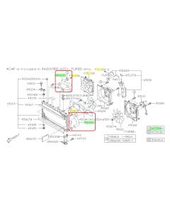 Subaru OEM Radiator Hose Kit (11-13 Forester - 25B)
