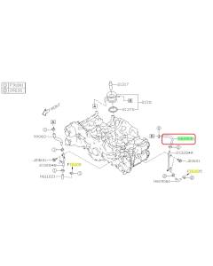 Subaru OEM Oil Cooler Hose - 807609081 (22+ WRX)
