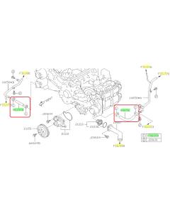 Subaru OEM Water Pump Hose Kit (14-18 Forester XT)