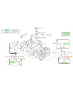 Subaru OEM Oil Cooler Hose Kit (14-18 Forester XT)