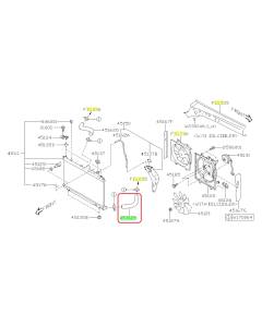 Subaru OEM Radiator Hose - Outlet (19-24 Forester)