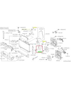 Subaru OEM Radiator Hose - Outlet (22+ WRX)