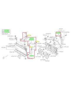Subaru OEM Radiator Hose Kit (10-14 Outback - 36D)