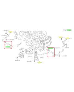 Subaru OEM Complete Coolant Hose Kit (15-19 Outback - 25B)