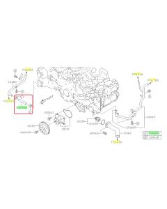Subaru OEM Water Pump Hose Kit (20-25 Outback - 24F)