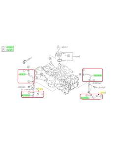 Subaru OEM Oil Cooler Hose Kit (20-25 Outback - 24F)