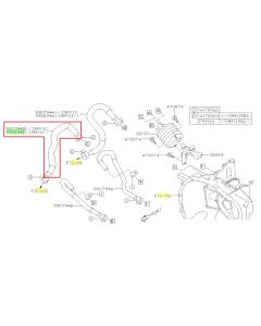 Subaru OEM CVT Cooler Coolant Hose - 99083AA29B (17-23 Impreza)