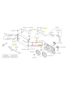 Subaru OEM Radiator Hose - Outlet (17-23 Impreza)