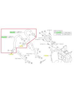 Subaru OEM CVT Cooler Hose Kit (17-23 Impreza)