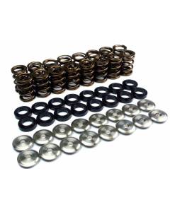 Ferrea Endurance Dual Valve Springs Kit (EJ20)