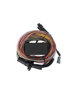 Haltech Elite 750 8ft Universal Harness - Premium