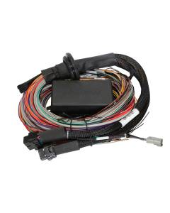 Haltech Elite 1500 8ft Universal Harness - Premium