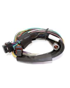 Haltech Elite 2500 & 2500T 8ft Universal Harness - Basic