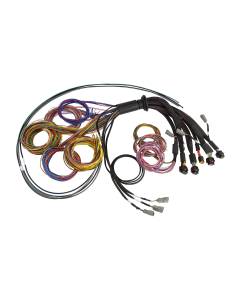 Haltech Nexus R5 Universal Wiring Harness - Basic - 2.5m