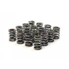 RCM Double Valve Spring Set (V5+ EJ20, EJ25)