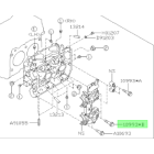 Subaru OEM Cam Cap Bolt - 10993AA110