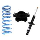 RalliTEK 0" Rear Overload Springs & OEM Struts (14-18 Forester)