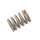 Subaru OEM Exhaust Pipe Spring - 44044AA010