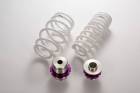 HKS Hipermax Touring Adjustable Springs (20+ Supra)